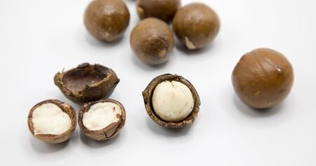 Phytosteryl Macadamiate